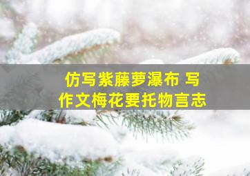 仿写《紫藤萝瀑布》 写作文《梅花》要托物言志