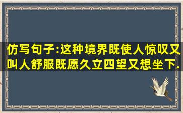 仿写句子:这种境界,既使人惊叹,又叫人舒服,既愿久立四望,又想坐下...