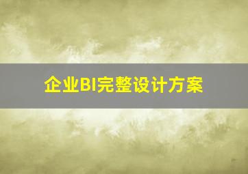 企业BI完整设计方案