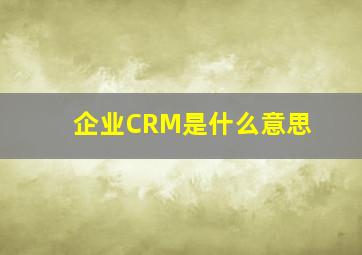 企业CRM是什么意思