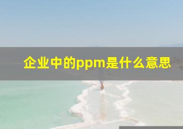 企业中的ppm是什么意思