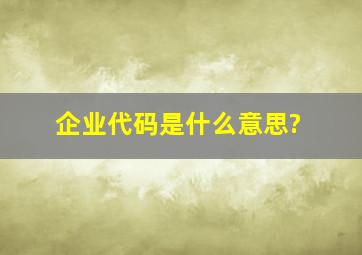 企业代码是什么意思?