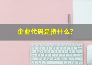 企业代码是指什么?