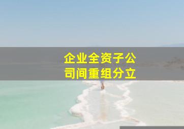 企业全资子公司间重组分立