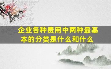 企业各种费用中两种最基本的分类是什么和什么 