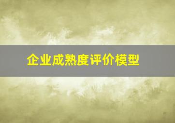 企业成熟度评价模型 