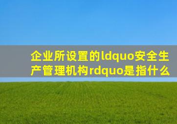 企业所设置的“安全生产管理机构”是指什么