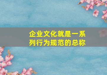 企业文化就是一系列行为规范的总称。