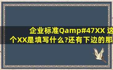 企业标准Q/XX ,这个XX是填写什么?还有下边的那个XXX