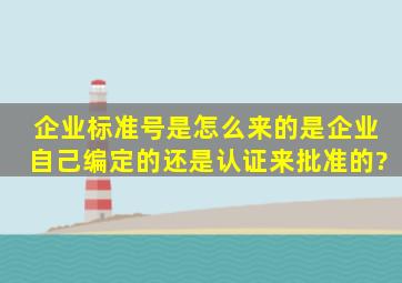 企业标准号是怎么来的,是企业自己编定的还是认证来批准的?