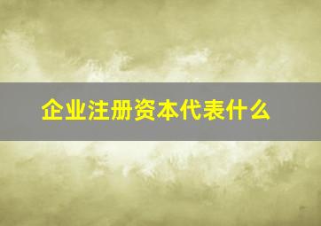 企业注册资本代表什么