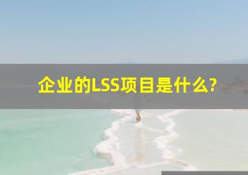 企业的LSS项目是什么?