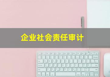 企业社会责任审计 