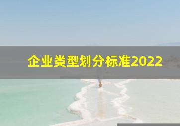 企业类型划分标准2022