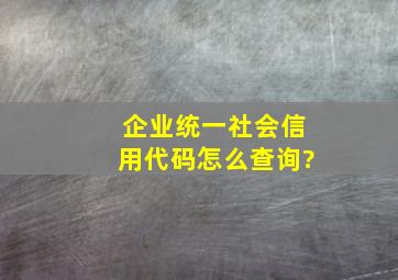 企业统一社会信用代码怎么查询?