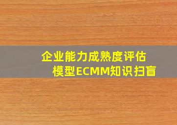 企业能力成熟度评估模型(ECMM)知识扫盲