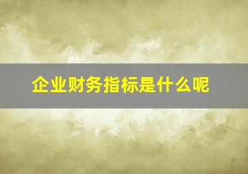 企业财务指标是什么呢(