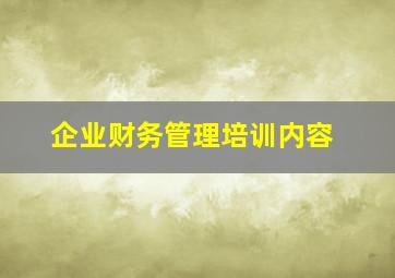 企业财务管理培训内容