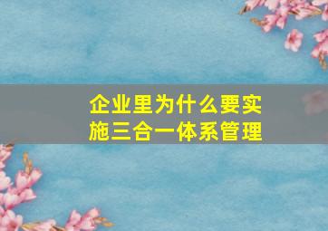 企业里为什么要实施三合一体系管理