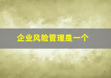 企业风险管理是一个( )。