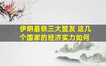 伊朗最铁三大盟友 这几个国家的经济实力如何 