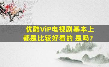 优酷ViP电视剧基本上都是比较好看的 是吗?