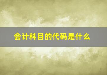 会计科目的代码是什么(