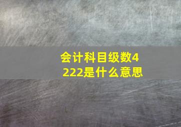 会计科目级数4222是什么意思