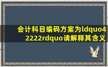 会计科目编码方案为“42222”,请解释其含义,并举例说明