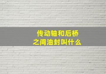 传动轴和后桥之间油封叫什么