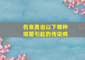 伤寒是由以下哪种细菌引起的传染病()