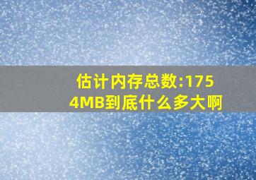 估计内存总数:1754MB到底什么多大啊