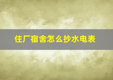 住厂宿舍怎么抄水电表