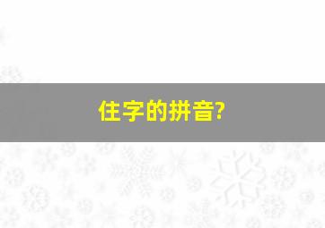 住字的拼音?