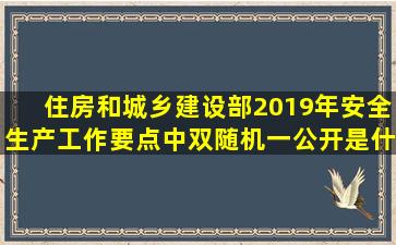 住房和城乡建设部2019年安全生产工作要点中双随机一公开是什