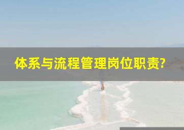 体系与流程管理岗位职责?