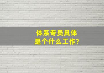 体系专员具体是个什么工作?