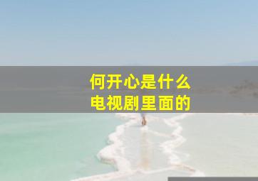 何开心是什么电视剧里面的