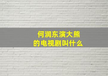 何润东演大熊的电视剧叫什么