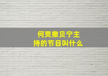 何炅撒贝宁主持的节目叫什么