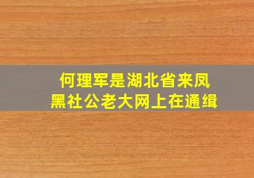 何理军是湖北省来凤黑社公老大,网上在通缉,