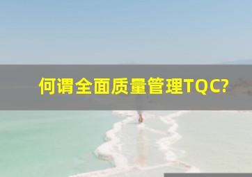 何谓全面质量管理(TQC)?