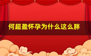 何超盈怀孕为什么这么胖