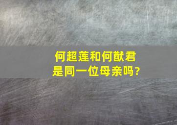 何超莲和何猷君是同一位母亲吗?