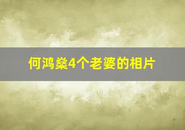 何鸿燊4个老婆的相片