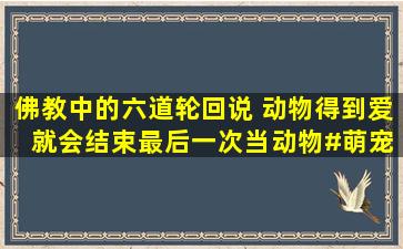 佛教中的六道轮回说 动物得到爱 就会结束最后一次当动物#萌宠...