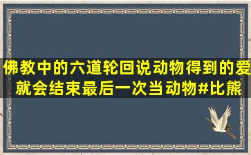 佛教中的六道轮回说,动物得到的爱,就会结束最后一次当动物#比熊 #...