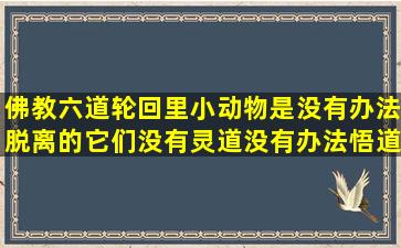 佛教六道轮回里小动物是没有办法脱离的,它们没有灵道没有办法悟道...