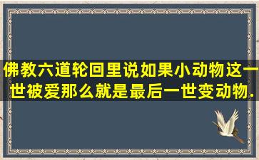 佛教六道轮回里说,如果小动物这一世被爱,那么就是最后一世变动物...