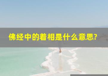 佛经中的着相是什么意思?